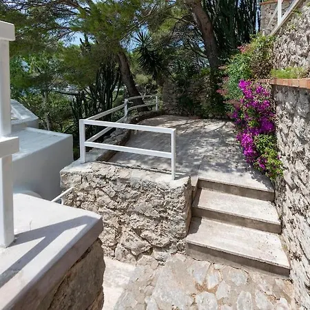 Villa House Rosa Blu *